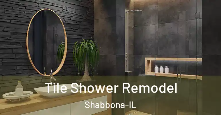 inner Bathroom imggen Tile Shower Remodel Shabbona-IL