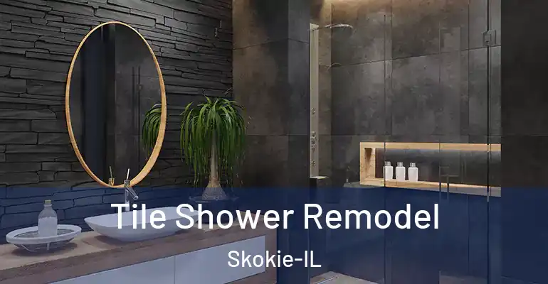 inner Bathroom imggen Tile Shower Remodel Skokie-IL