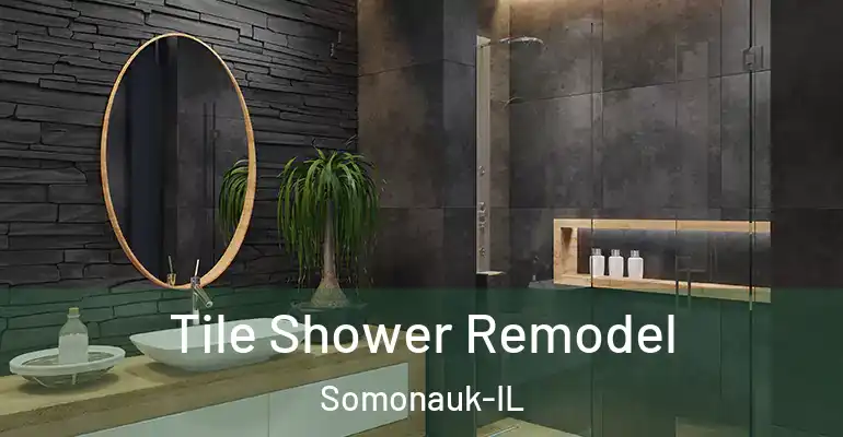 inner Bathroom imggen Tile Shower Remodel Somonauk-IL