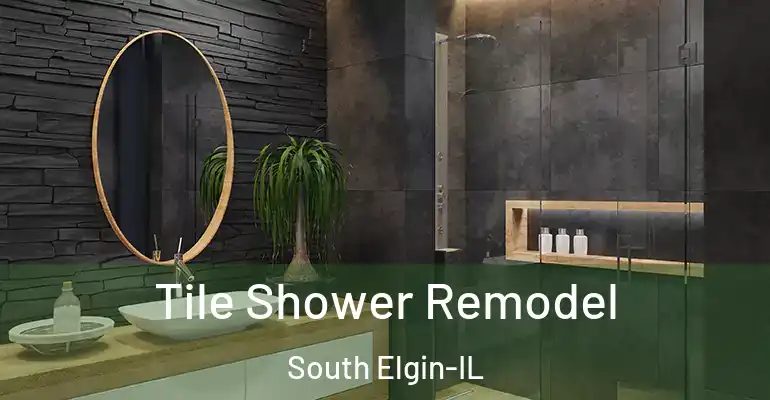 inner Bathroom imggen Tile Shower Remodel South Elgin-IL