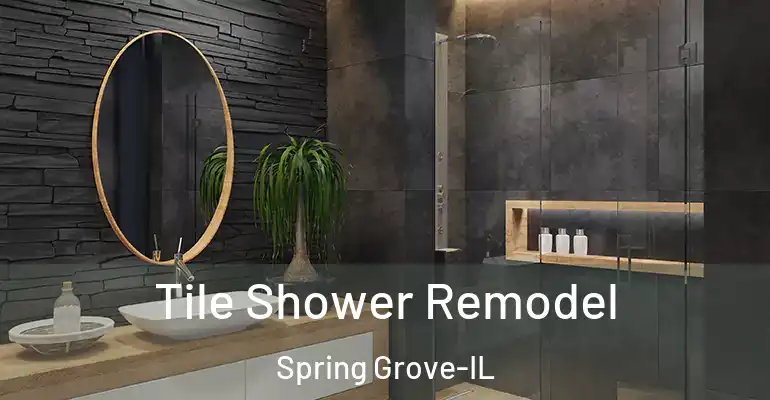 inner Bathroom imggen Tile Shower Remodel Spring Grove-IL