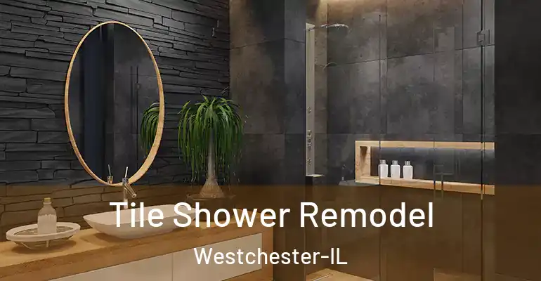 inner Bathroom imggen Tile Shower Remodel Westchester-IL
