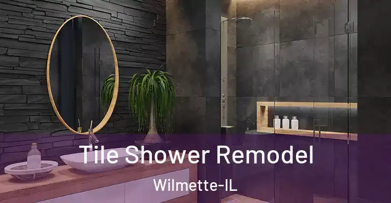 inner Bathroom imggen Tile Shower Remodel Wilmette-IL
