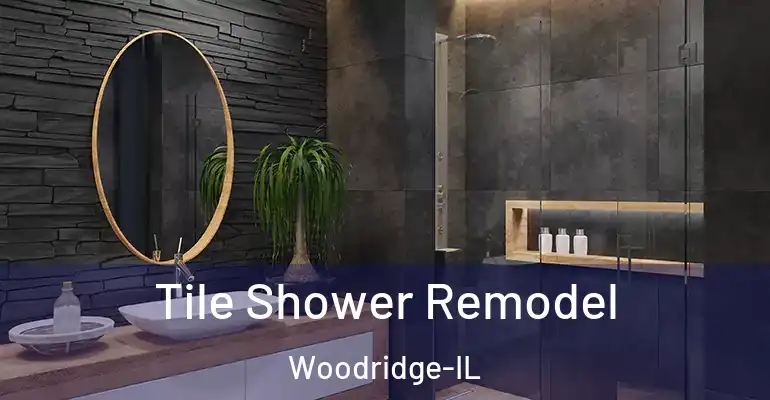 inner Bathroom imggen Tile Shower Remodel Woodridge-IL