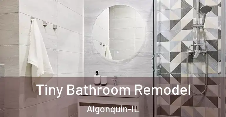 inner Bathroom imggen Tiny Bathroom Remodel Algonquin-IL