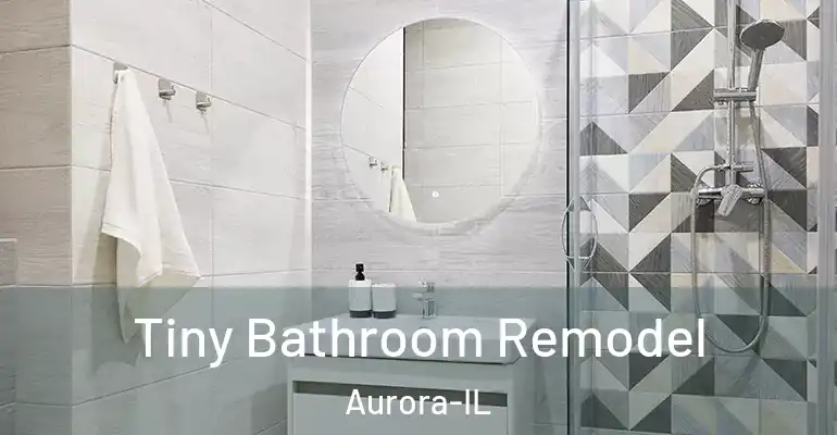 inner Bathroom imggen Tiny Bathroom Remodel Aurora-IL