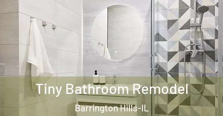 inner Bathroom imggen Tiny Bathroom Remodel Barrington Hills-IL