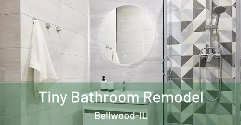 inner Bathroom imggen Tiny Bathroom Remodel Bellwood-IL