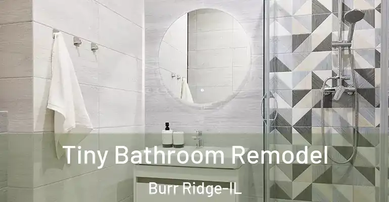 inner Bathroom imggen Tiny Bathroom Remodel Burr Ridge-IL