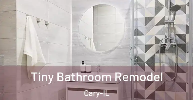 inner Bathroom imggen Tiny Bathroom Remodel Cary-IL