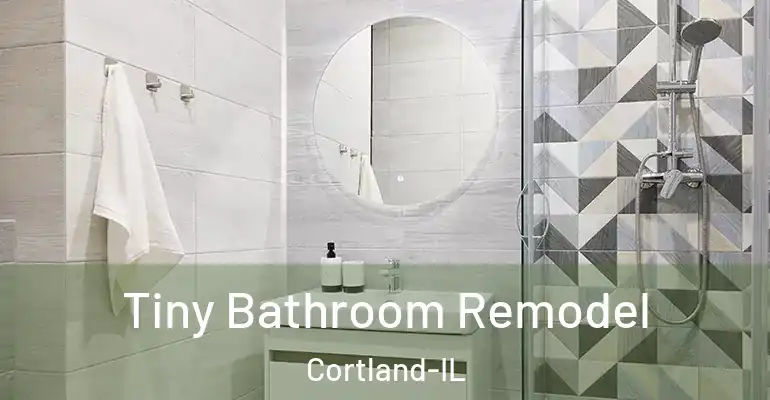 inner Bathroom imggen Tiny Bathroom Remodel Cortland-IL