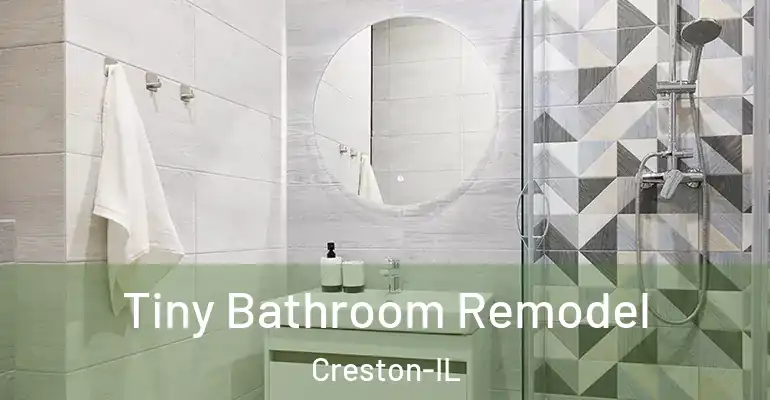 inner Bathroom imggen Tiny Bathroom Remodel Creston-IL