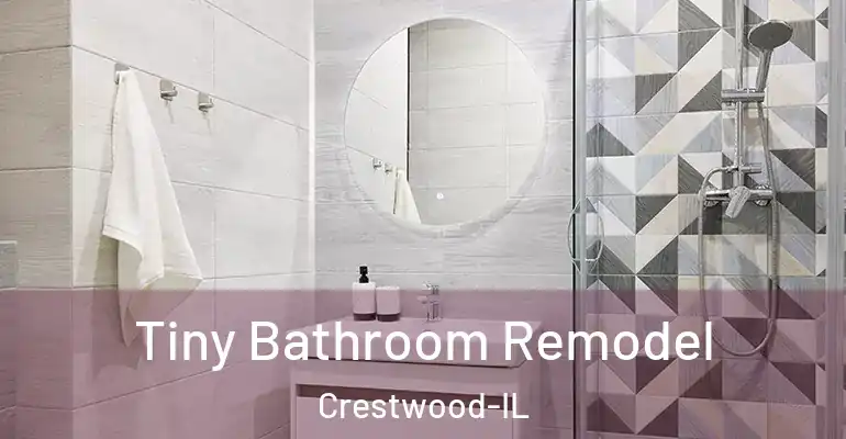 inner Bathroom imggen Tiny Bathroom Remodel Crestwood-IL