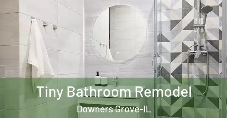 inner Bathroom imggen Tiny Bathroom Remodel Downers Grove-IL