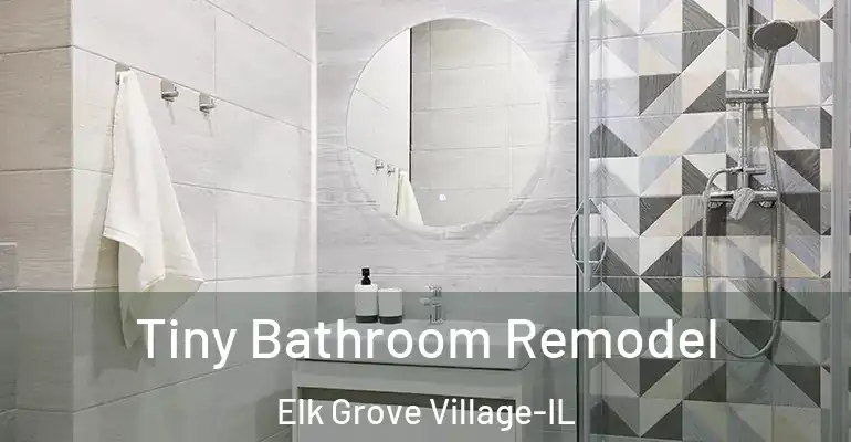 inner Bathroom imggen Tiny Bathroom Remodel Elk Grove Village-IL