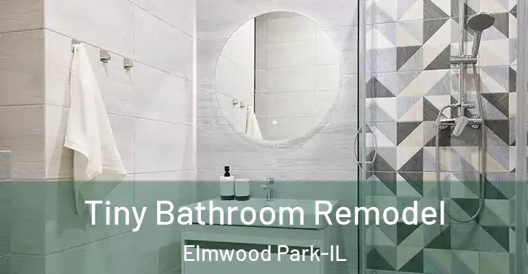 inner Bathroom imggen Tiny Bathroom Remodel Elmwood Park-IL