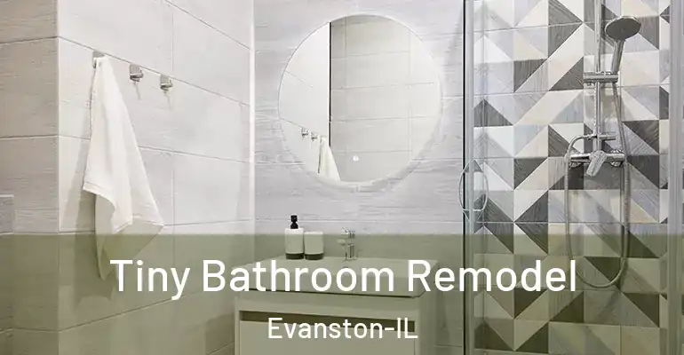 inner Bathroom imggen Tiny Bathroom Remodel Evanston-IL