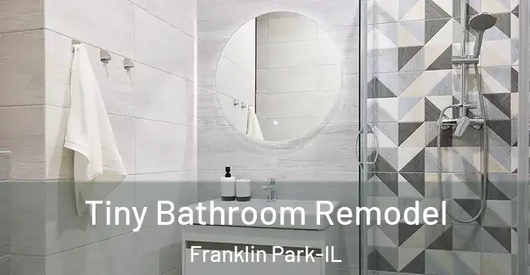 inner Bathroom imggen Tiny Bathroom Remodel Franklin Park-IL