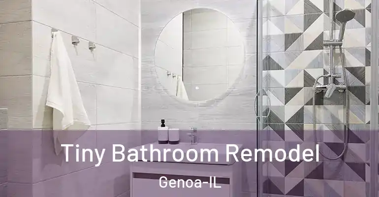 inner Bathroom imggen Tiny Bathroom Remodel Genoa-IL