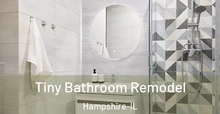 inner Bathroom imggen Tiny Bathroom Remodel Hampshire-IL