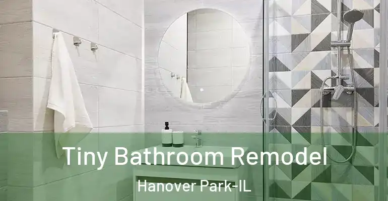 inner Bathroom imggen Tiny Bathroom Remodel Hanover Park-IL