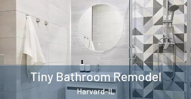 inner Bathroom imggen Tiny Bathroom Remodel Harvard-IL