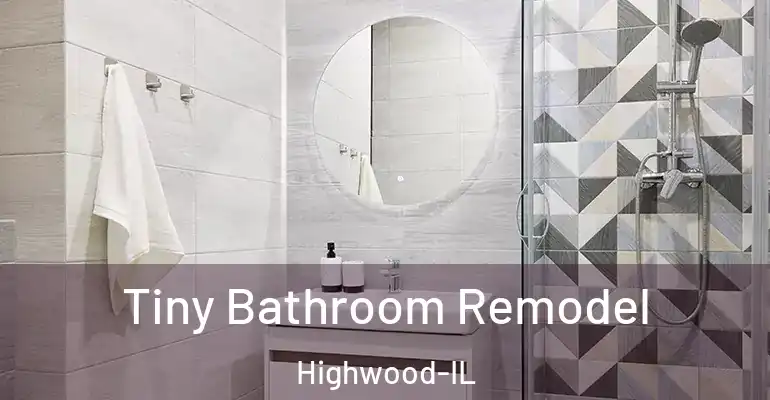 inner Bathroom imggen Tiny Bathroom Remodel Highwood-IL