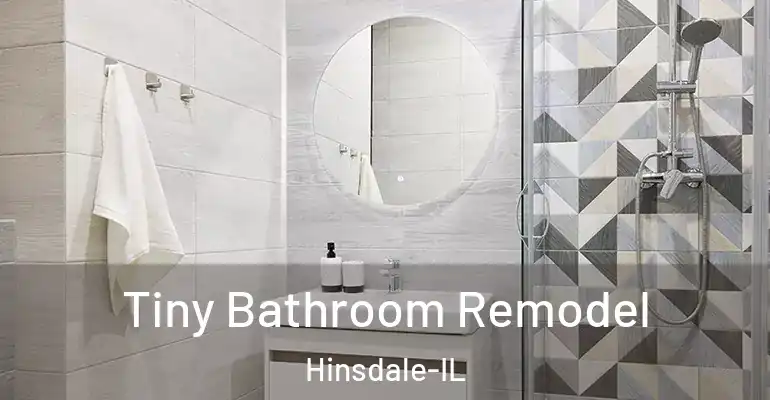 inner Bathroom imggen Tiny Bathroom Remodel Hinsdale-IL
