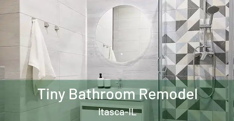 inner Bathroom imggen Tiny Bathroom Remodel Itasca-IL