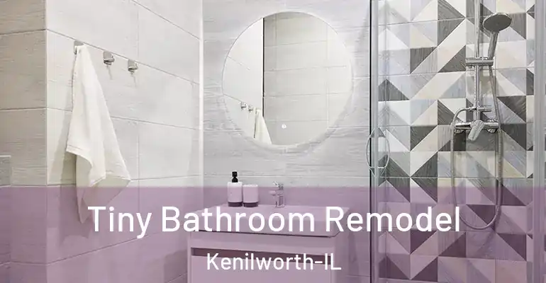 inner Bathroom imggen Tiny Bathroom Remodel Kenilworth-IL