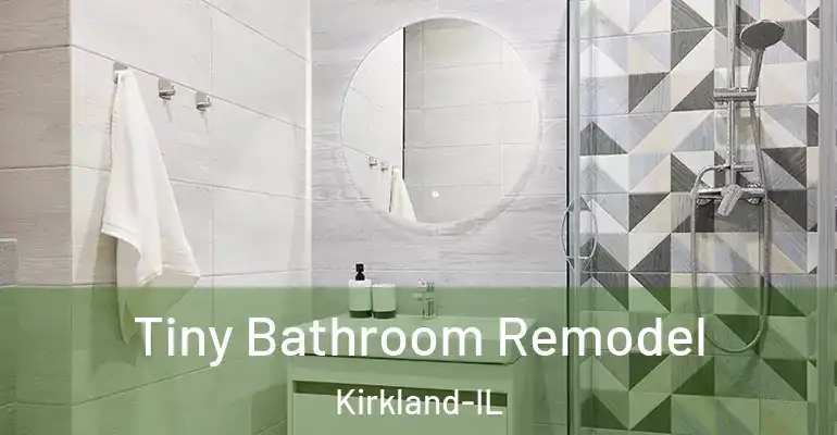 inner Bathroom imggen Tiny Bathroom Remodel Kirkland-IL