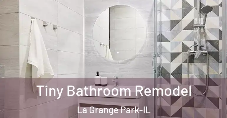 inner Bathroom imggen Tiny Bathroom Remodel La Grange Park-IL