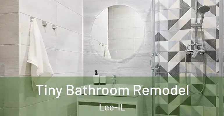inner Bathroom imggen Tiny Bathroom Remodel Lee-IL