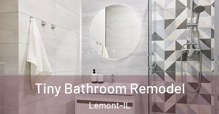 inner Bathroom imggen Tiny Bathroom Remodel Lemont-IL