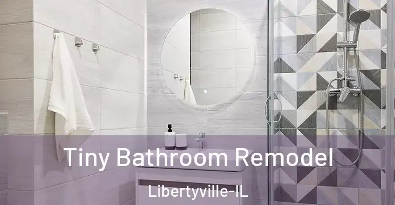 inner Bathroom imggen Tiny Bathroom Remodel Libertyville-IL