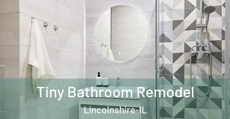 inner Bathroom imggen Tiny Bathroom Remodel Lincolnshire-IL