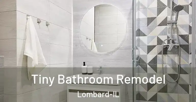 inner Bathroom imggen Tiny Bathroom Remodel Lombard-IL