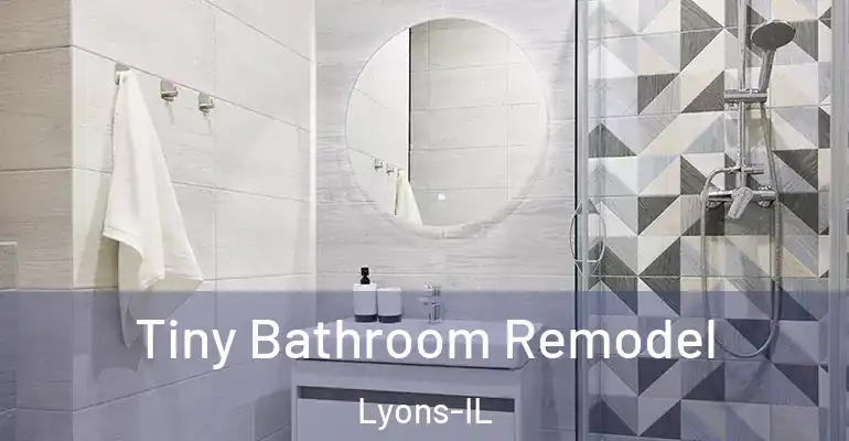 inner Bathroom imggen Tiny Bathroom Remodel Lyons-IL