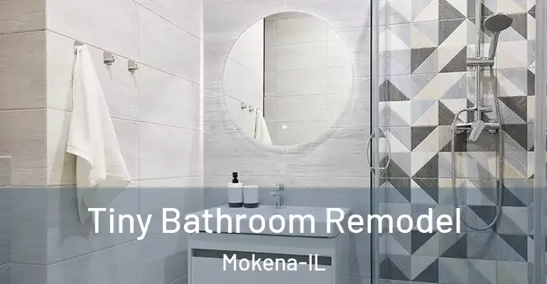 inner Bathroom imggen Tiny Bathroom Remodel Mokena-IL
