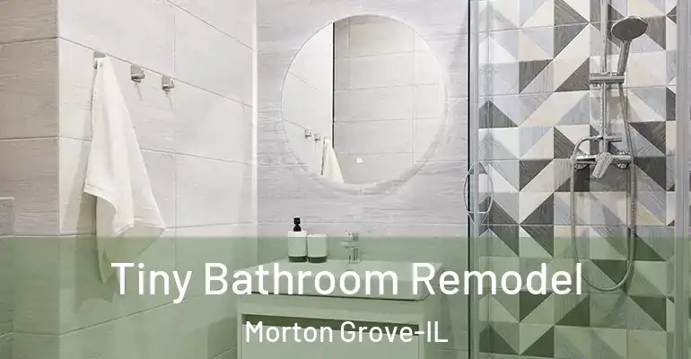 inner Bathroom imggen Tiny Bathroom Remodel Morton Grove-IL