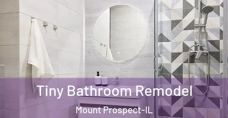 inner Bathroom imggen Tiny Bathroom Remodel Mount Prospect-IL