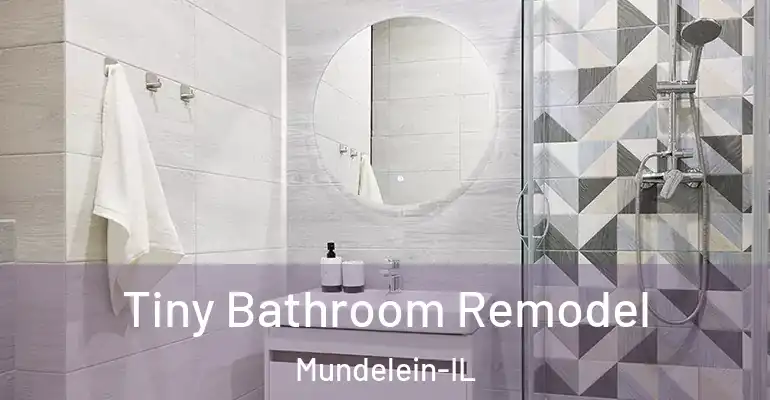 inner Bathroom imggen Tiny Bathroom Remodel Mundelein-IL