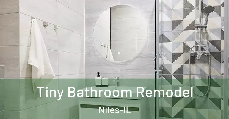 inner Bathroom imggen Tiny Bathroom Remodel Niles-IL