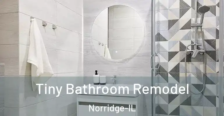 inner Bathroom imggen Tiny Bathroom Remodel Norridge-IL