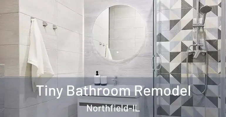 inner Bathroom imggen Tiny Bathroom Remodel Northfield-IL