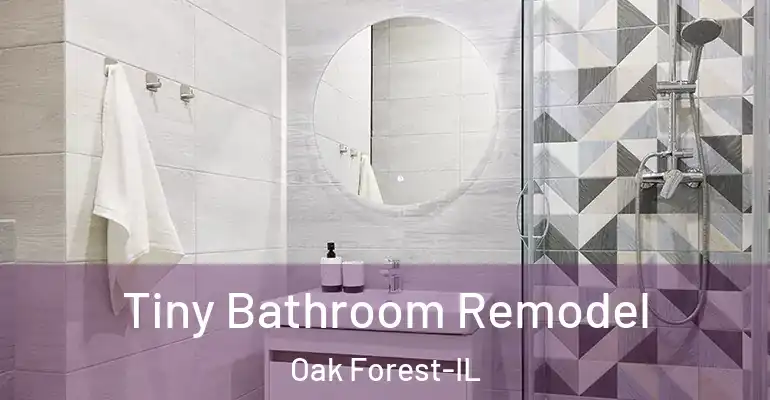 inner Bathroom imggen Tiny Bathroom Remodel Oak Forest-IL