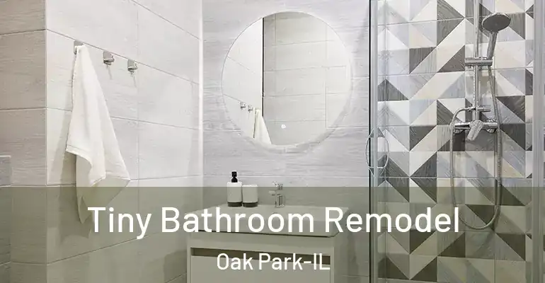inner Bathroom imggen Tiny Bathroom Remodel Oak Park-IL