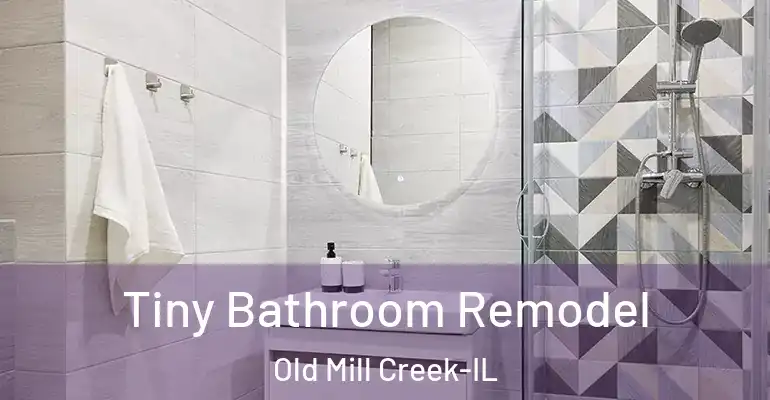 inner Bathroom imggen Tiny Bathroom Remodel Old Mill Creek-IL