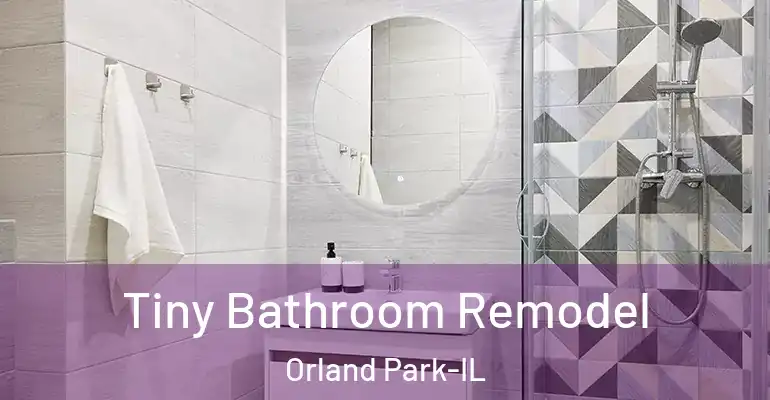 inner Bathroom imggen Tiny Bathroom Remodel Orland Park-IL
