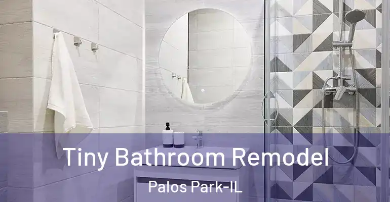 inner Bathroom imggen Tiny Bathroom Remodel Palos Park-IL
